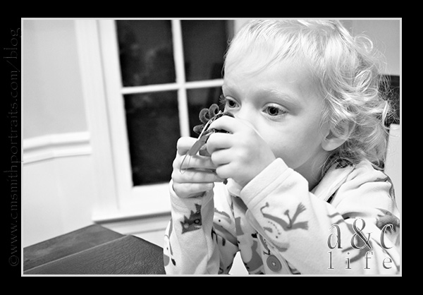 Jesse2n3-015 Jesse2n3-015